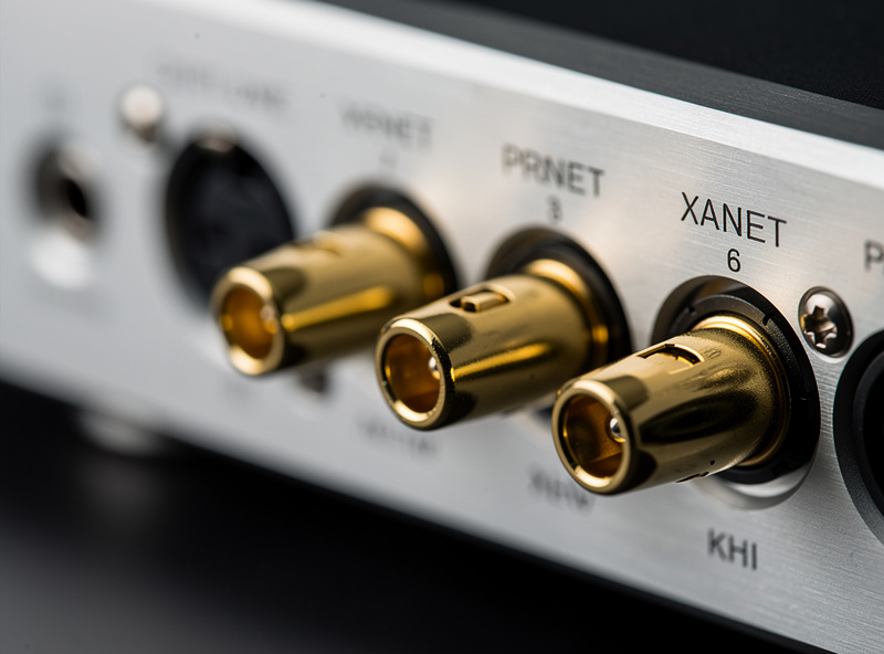 A DAC rear panel with balanced XLR outputs and single-ended RCA outputs, both cable types plugged in